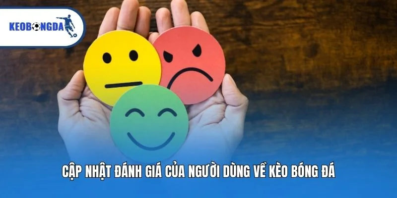 Cập nhật đánh giá của người dùng về Kèo bóng đá
