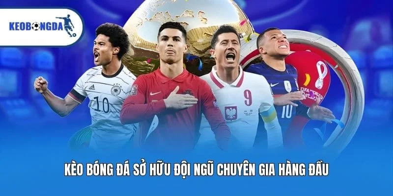 Kèo bóng đá sở hữu đội ngũ chuyên gia hàng đầu